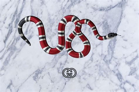 hd gucci snake wallpaper|supreme gucci snake wallpaper.